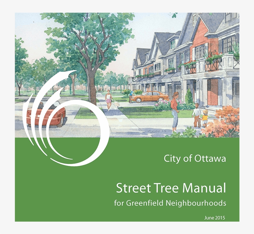 Ottawa Street Tree Manual For Greenfield Development - Tree, transparent png download