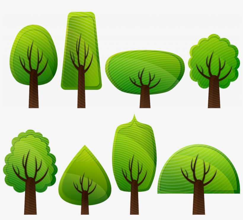 Choose Your Street Tree, As You Can See, It Is Really,, transparent png download