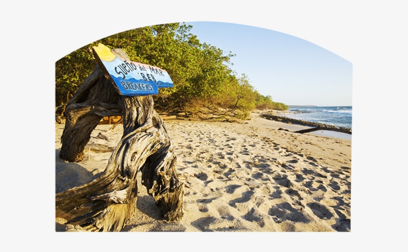 Sueno Del Mar - Sea, transparent png download