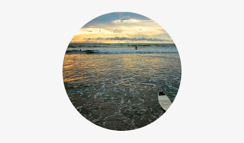 Previousnext - Sea, transparent png download