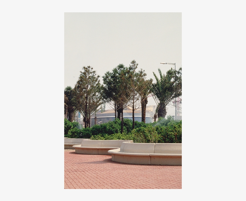 Banco Modular - Sabal Palmetto, transparent png download