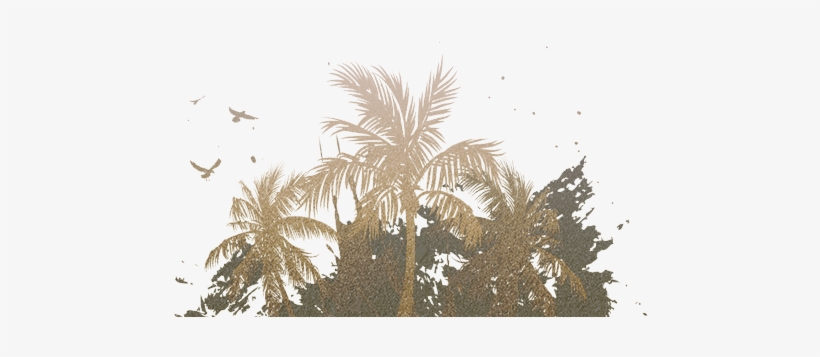 Palm Trees - - Palm Trees, transparent png download