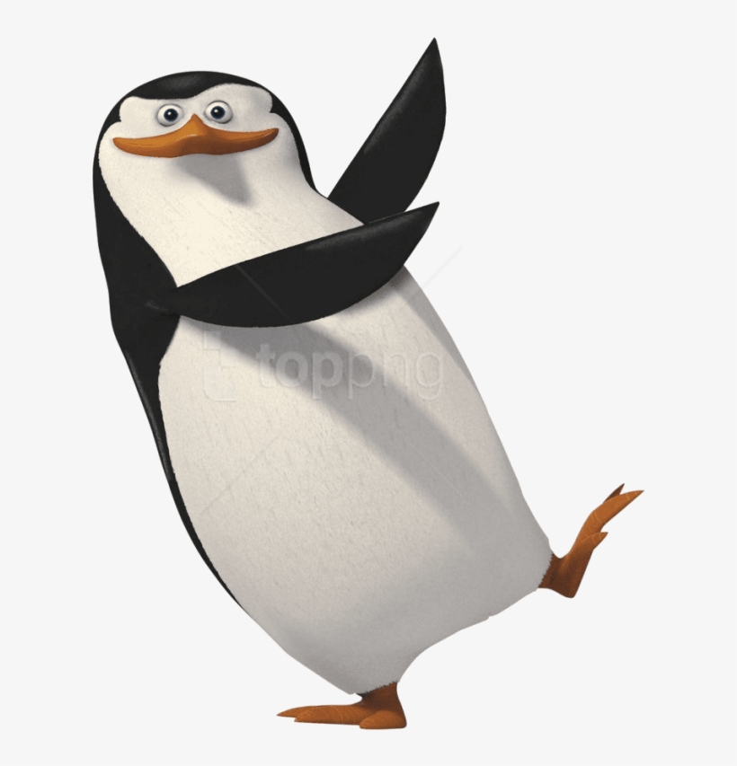Download - Penguin Png, transparent png download