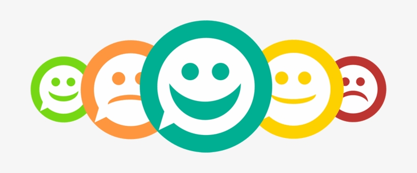 Brisdoc Staff Survey - Staff Survey, transparent png download
