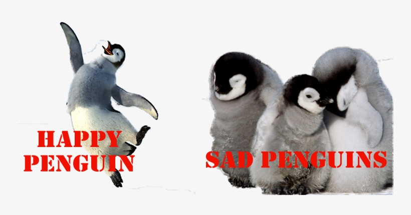 League Team Images Penguins - Baby Penguins, transparent png download