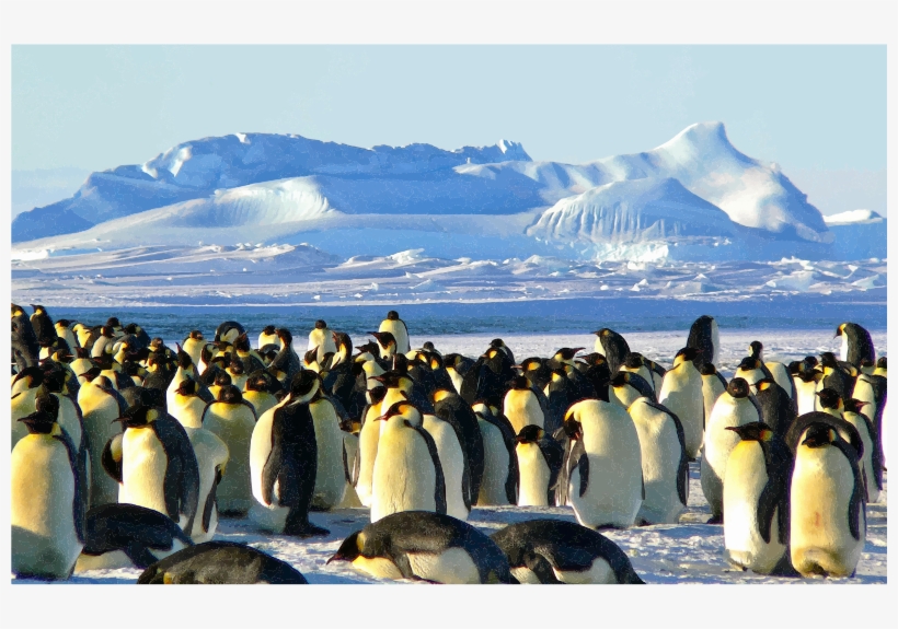 Medium Image - Emperor Penguins (journal / Notebook), transparent png download