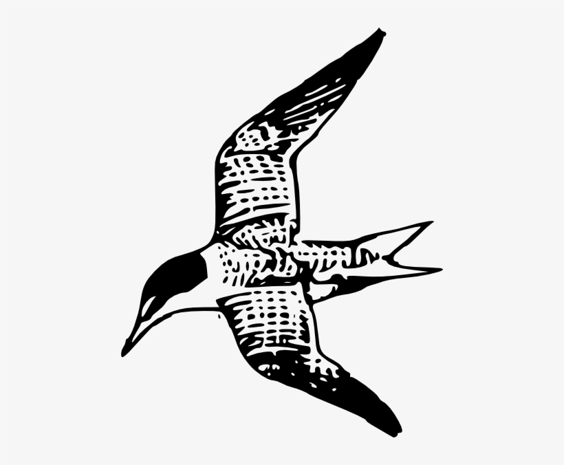 Kelan Lestern Clip Art Free Vector - Clip Art, transparent png download