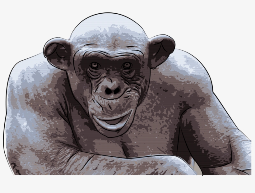 Ashes The Hairless Chimp - Busy Monkey, transparent png download