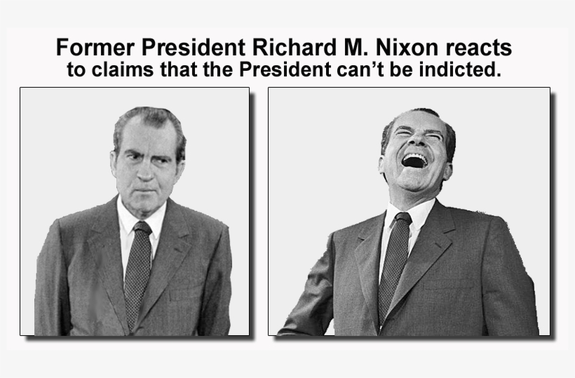 Pretty Sure The Image Says It All - Trump Unindicted Co Conspirator, transparent png download