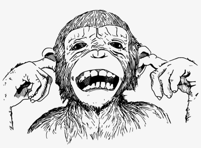 Chimp, transparent png download