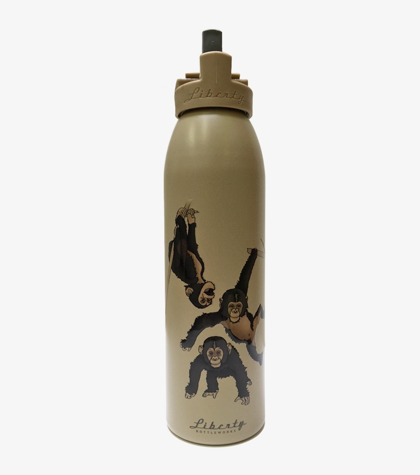 Champ For Chimps Water Bottle - Water Bottle, transparent png download