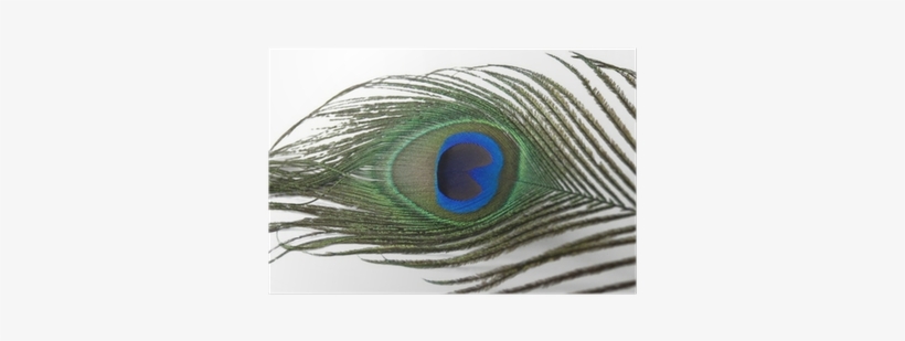 Electric Blue, transparent png download