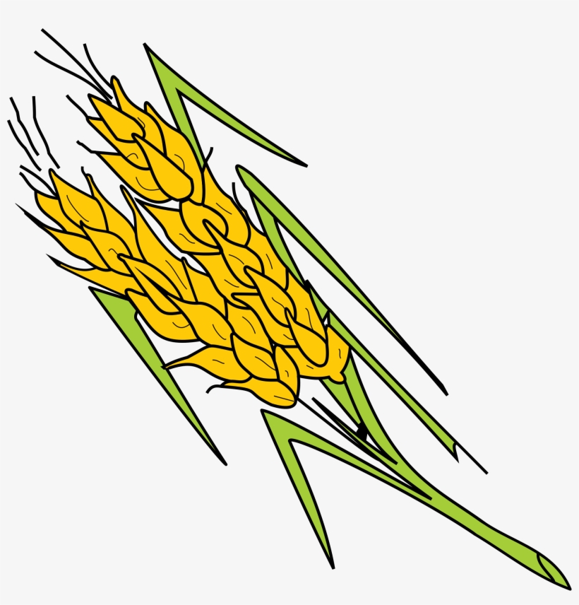 Open - May 30, transparent png download