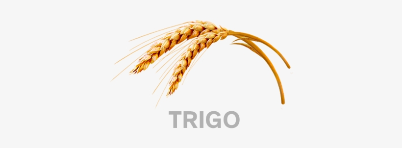 Trigo - Kelloggs All Bran Crunch Berry Delivered To Canada, transparent png download