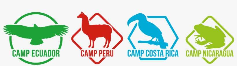 Central & South America 18 Weeks - Camps International, transparent png download