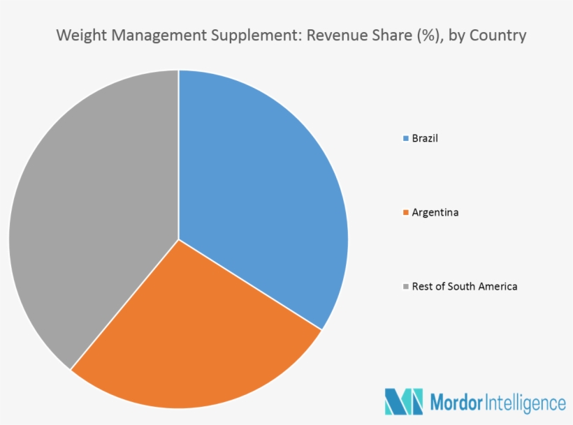 South America Weight Management Supplement Market Key - Circle, transparent png download