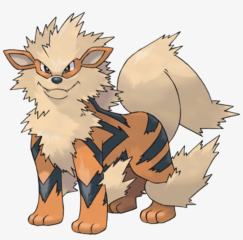 Arcanine - Pokémon That Look Like Dogs, transparent png download