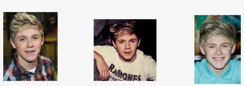 Niall James Horan Was Born 13 September 1993 In Mullingar, - Niall Horan Facts, transparent png download