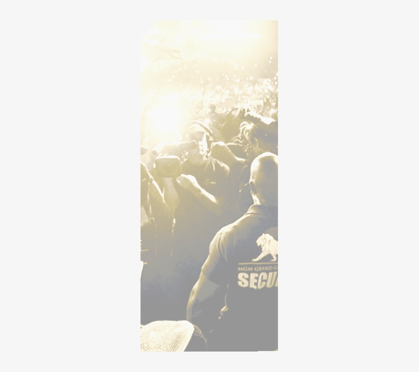 Canelo Vs - Hunting Dog, transparent png download