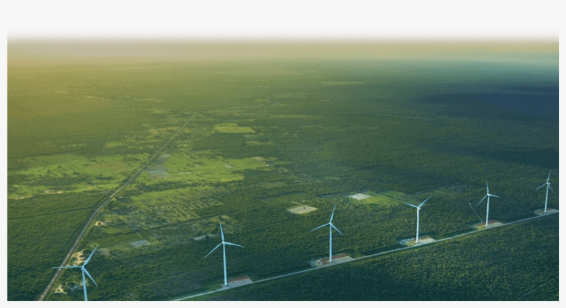 Turning Air Into Opportunities - Grass, transparent png download