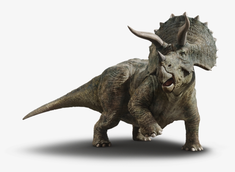Triceratops PNG Download Transparent Triceratops PNG 