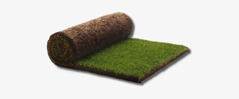 Pasto En Rollo - Medallion Turf 1m2 Rolls (quantity Of 40), transparent png download