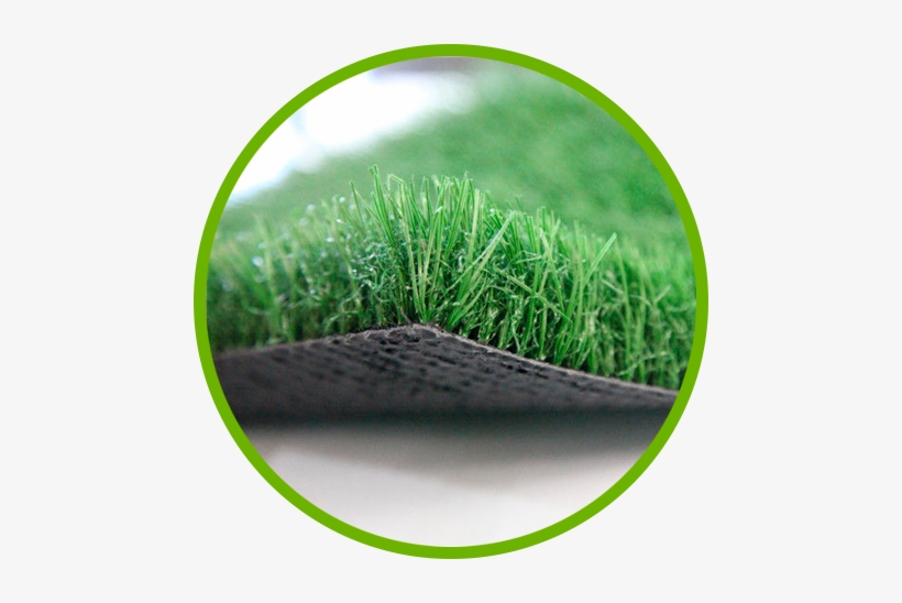 Servicio Y Calidad Garantizada - Artificial Grass Carpet, transparent png download