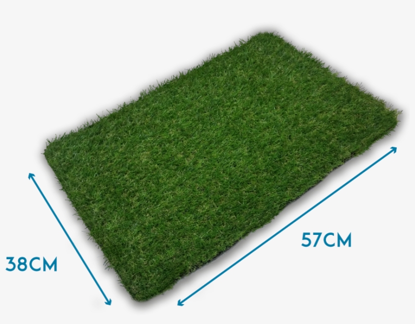 No Tóxico - - Lawn, transparent png download