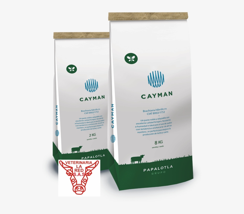 Semilla Pasto Cayman - Flyer, transparent png download