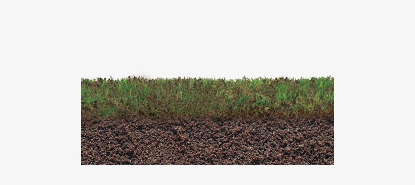 Paso 2 De 3 Etapas De Cultivo Pasto Seleccione La Etapa - Field, transparent png download