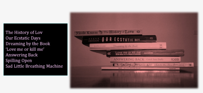 As Promised, Here Are My Own Poetic Book Spine Offerings - Novel, transparent png download