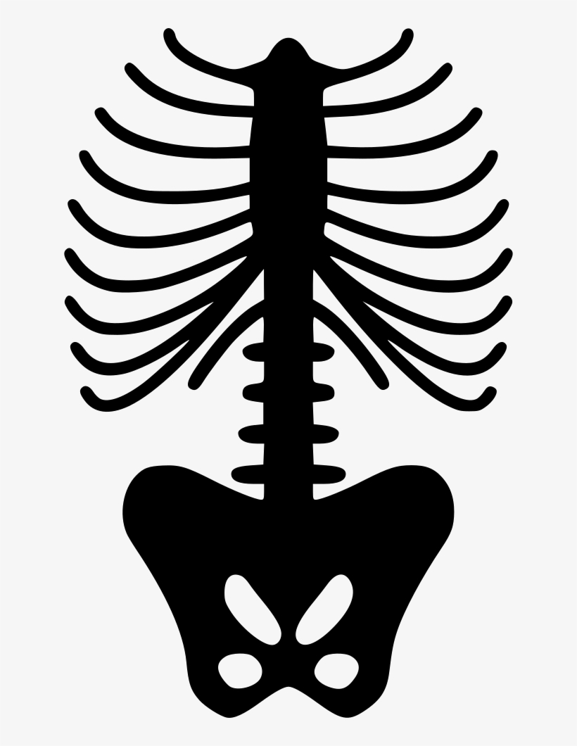 Png File - Skeleton Rib Png, transparent png download