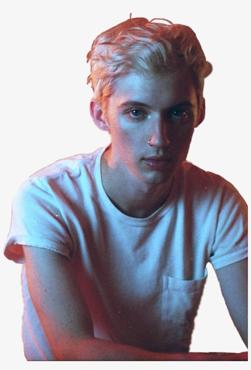 Report Abuse - Bloom Troye Sivan Album Cover Fanmade, transparent png download