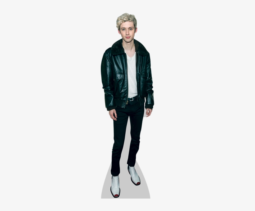 Troye Sivan - Standing, transparent png download