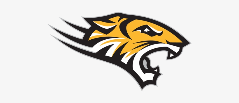 Towson Tigers - Towson Tigers Png, transparent png download