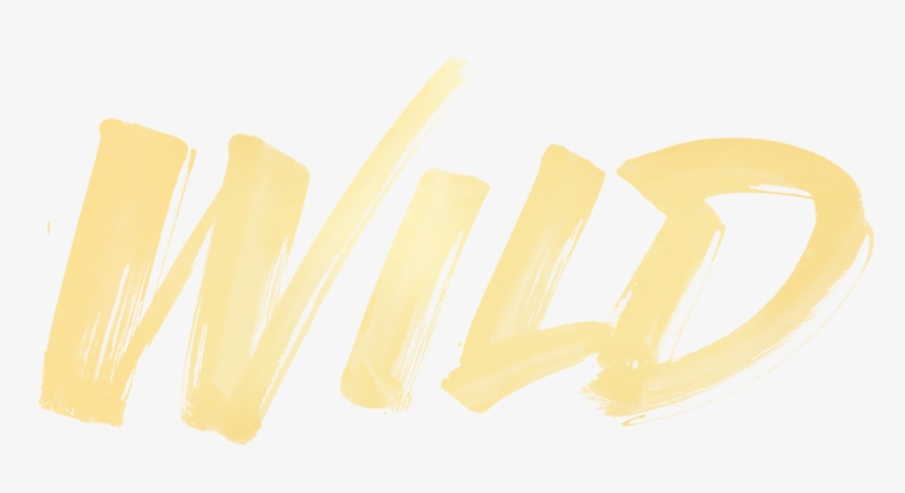 Troye Sivan - Wild, transparent png download