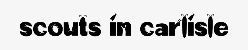 Protect Your Family - Opossum, transparent png download