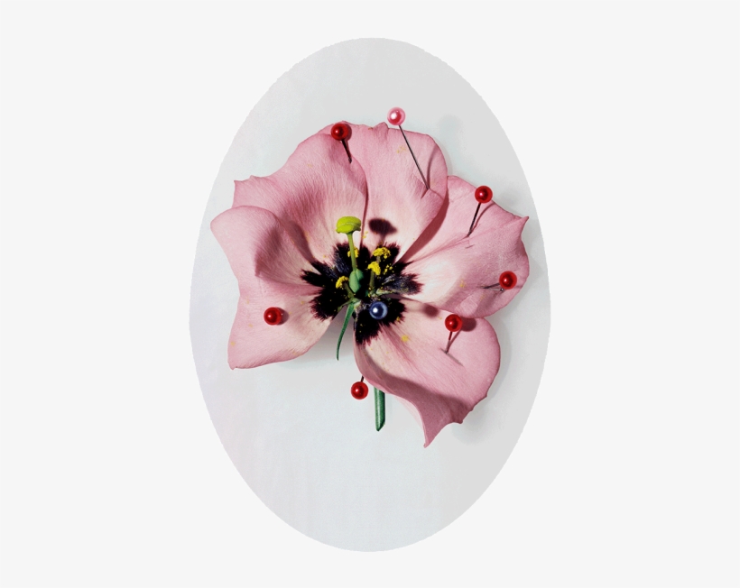 Earth Michael Baumgarten - Artificial Flower, transparent png download