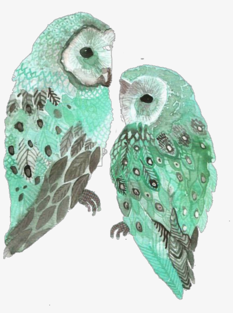 Report Abuse - Mint Owl, transparent png download