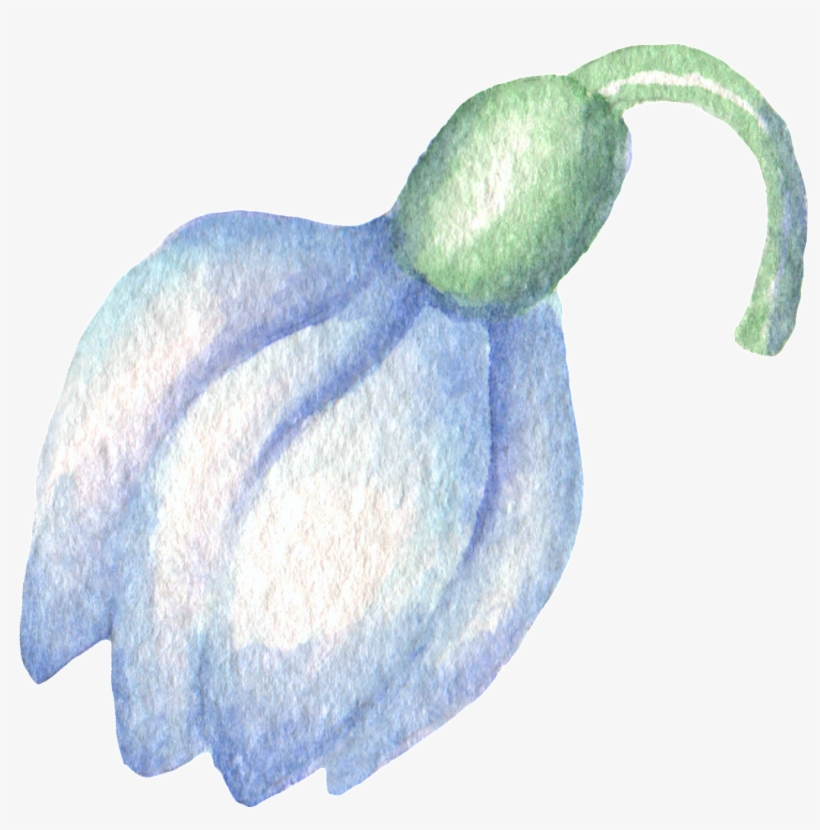 Hand-painted Blue Flower Watercolor Transparent Material - Snowdrop, transparent png download