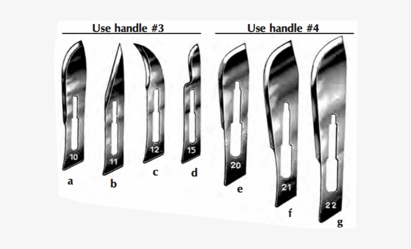 Sterile Swann-morton Scalpel Blades, - Swann Morton Scalpel Blades #4, transparent png download