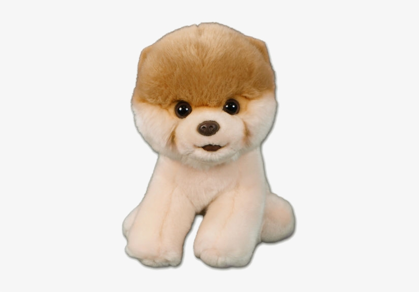 Boo Dog Png Pic - Boo The Dog Png, transparent png download