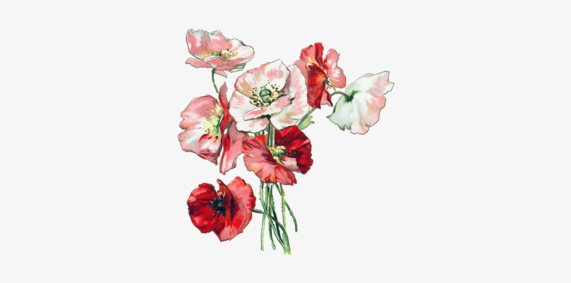 Loss Of Friend - Heartfelt Sympathy Pink Vintage Flowers, transparent png download