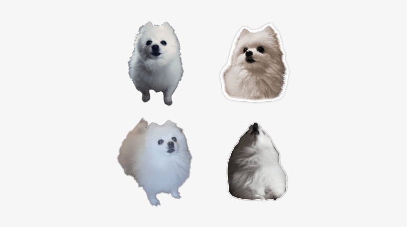 Gabe The Dog Png, transparent png download