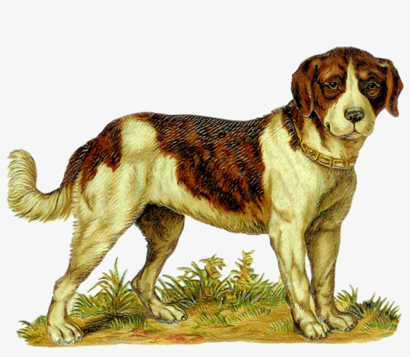 Does This Look Like A St, transparent png download