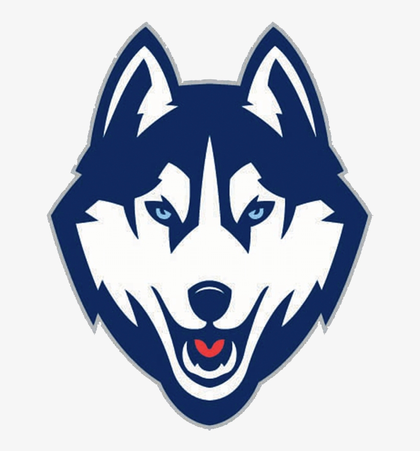 Connecticut Huskies, transparent png download