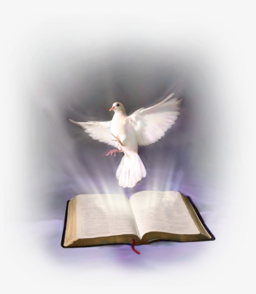 Esta Es Una Oración Especial Que Debes Repetir Tres - Gospel Jn 16 12 15, transparent png download