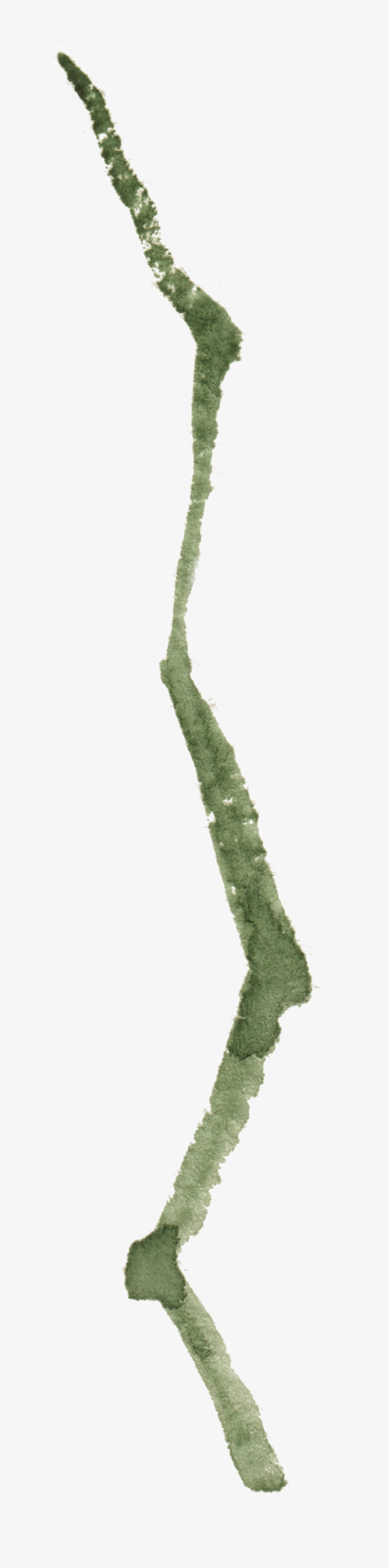 Zigzag Branches Transparent Decorative - Portable Network Graphics, transparent png download