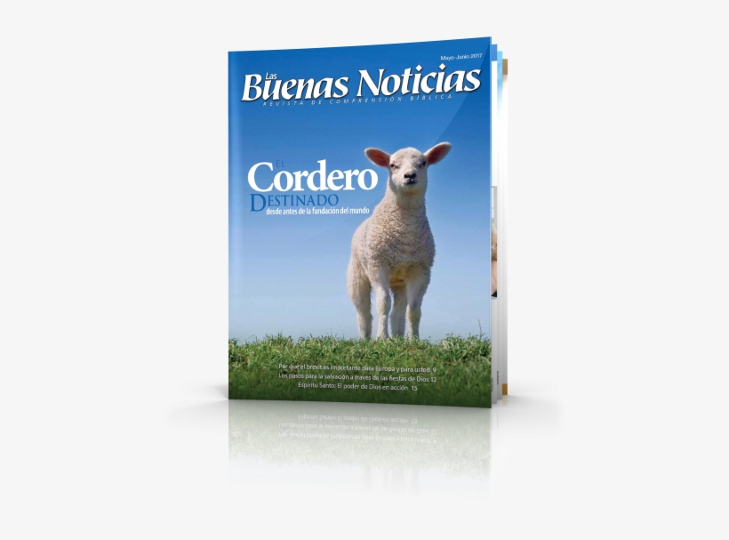 Love Of Animals: Christian Ethics, Consistent Action, transparent png download