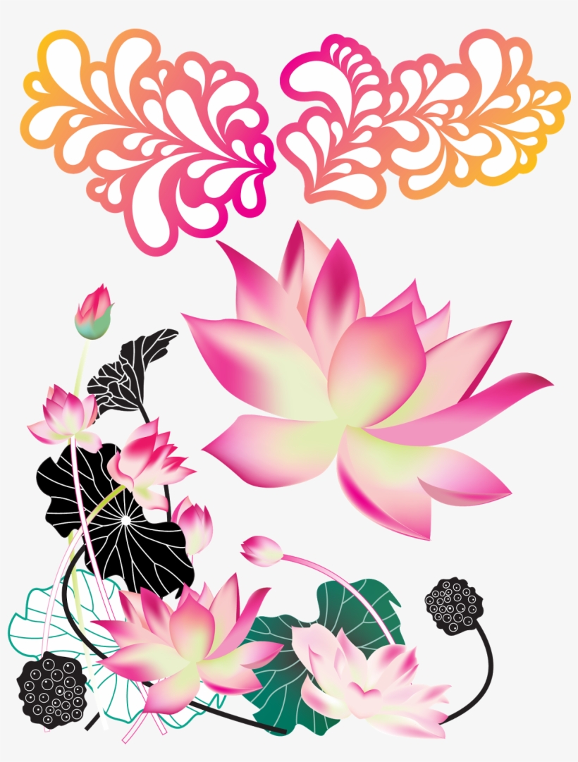 Premiun Flowers - Lotus Vector, transparent png download